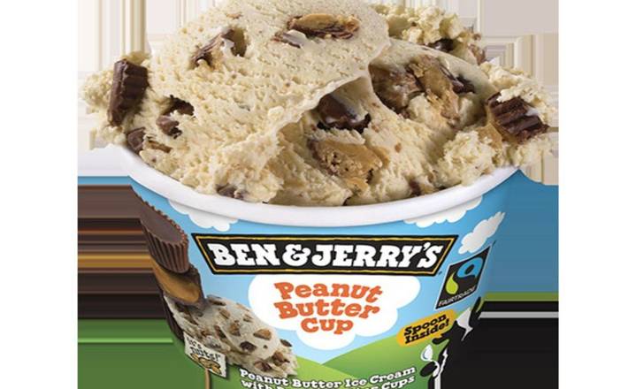 Ben & Jerry's Peanut Butter Cup Ancho